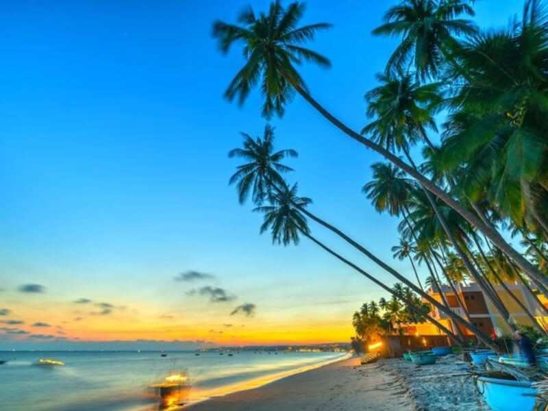 Bãi biển đồi dương